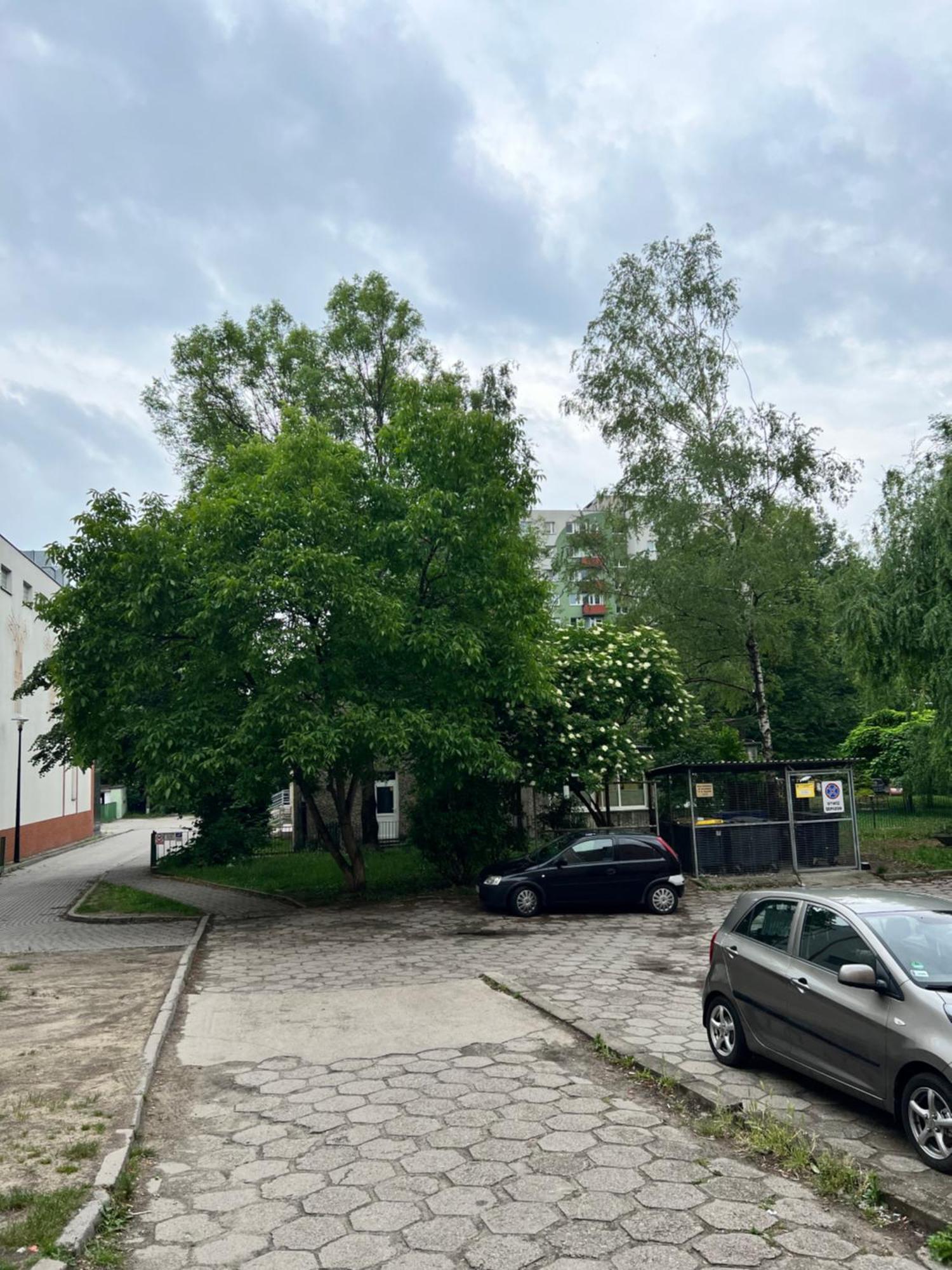 Nocleg Opole Kopernik Apartament 外观 照片